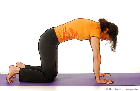 Picture of a woman in step two of the yoga cat cow pose